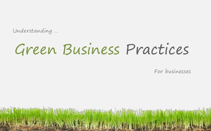 Green Business Practices For Dummies